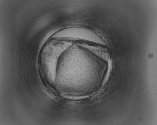 X0000090900147200708270951