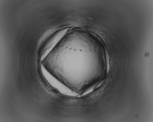 X0000090900149200708270951