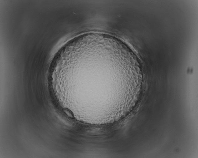 X0000090900151200708270951