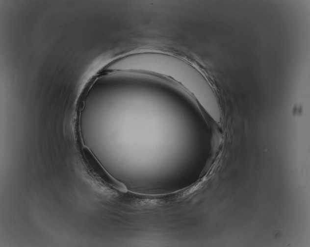 X0000090900152200708270951