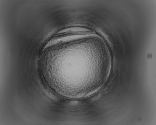 X0000090900153200708270951