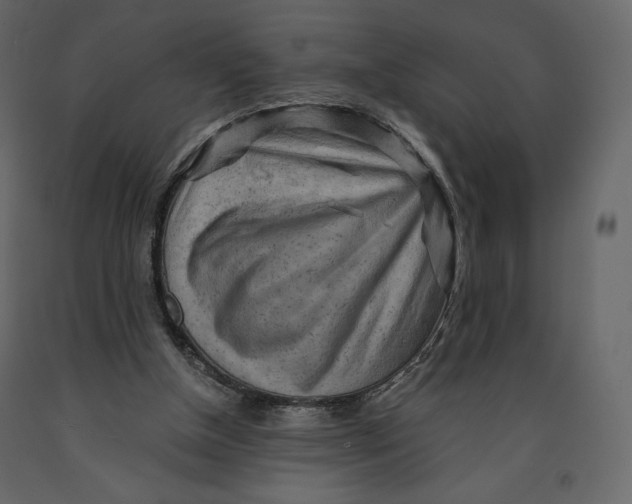 X0000090900154200708270951
