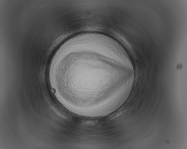 X0000090900155200708270951