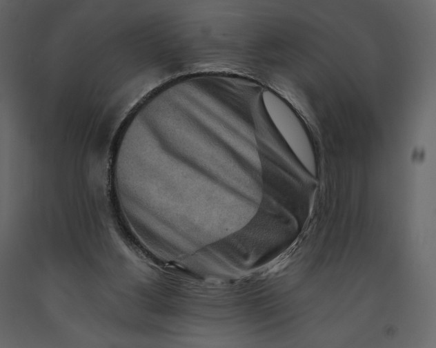 X0000090900156200708270951
