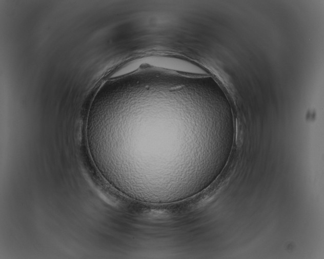 X0000090900157200708270951