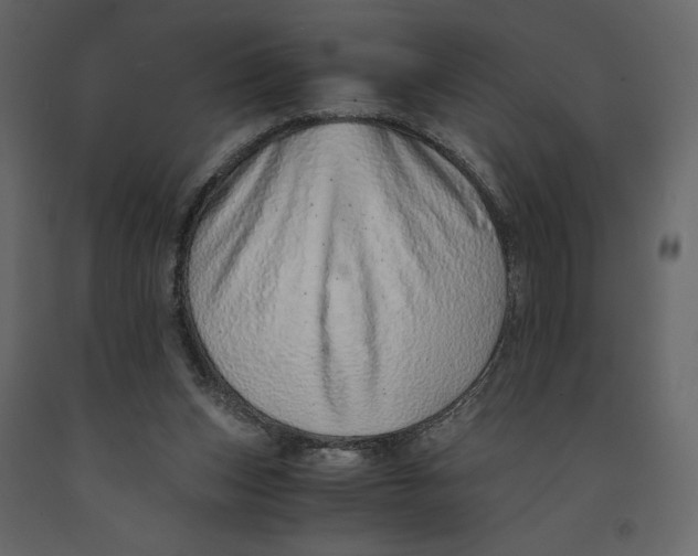 X0000090900159200708270951