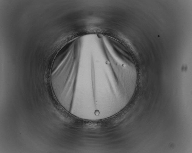 X0000090900161200708270951