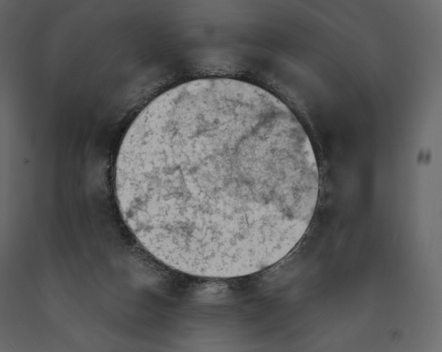 X0000090900162200708270951