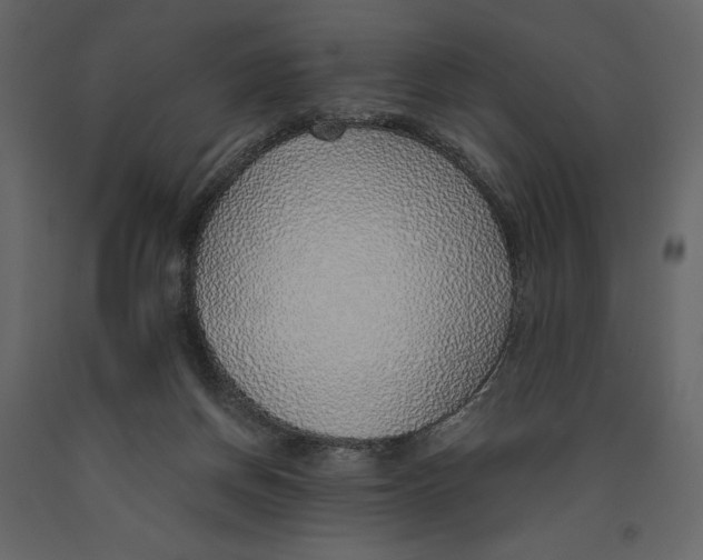 X0000090900166200708270951