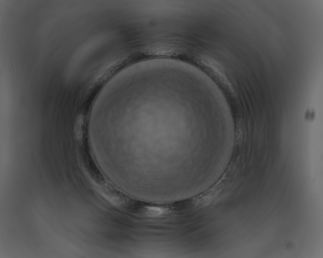 X0000090900167200708270951