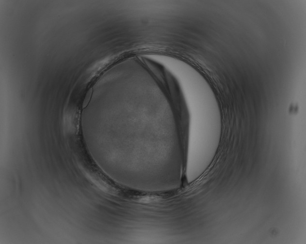 X0000090900168200708270951