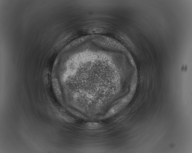 X0000090900169200708270951