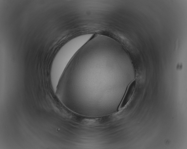 X0000090900170200708270951
