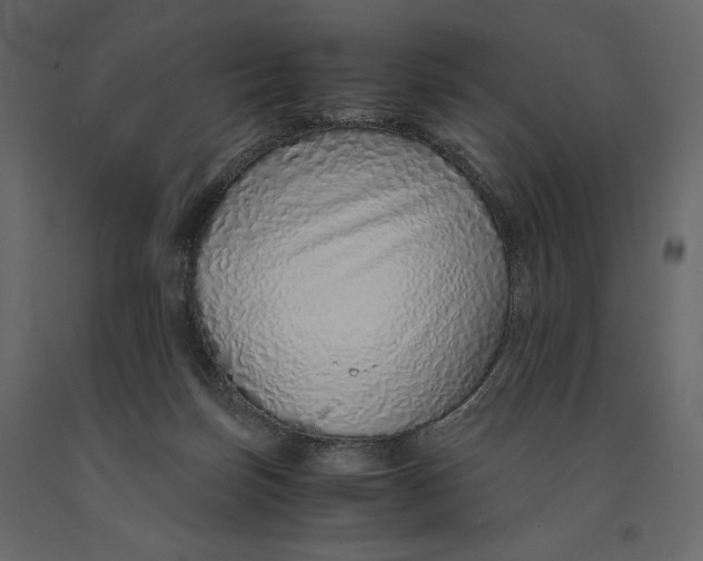 X0000090900171200708270951
