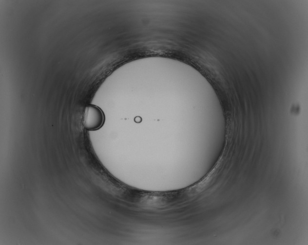 X0000090900174200708270951