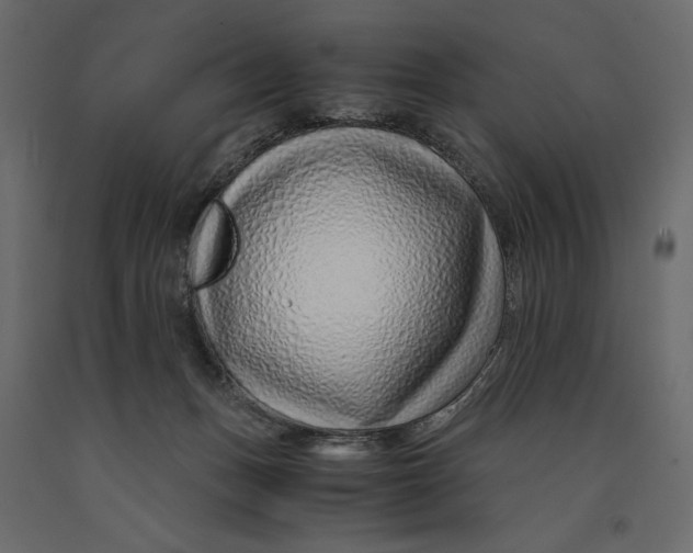 X0000090900175200708270951