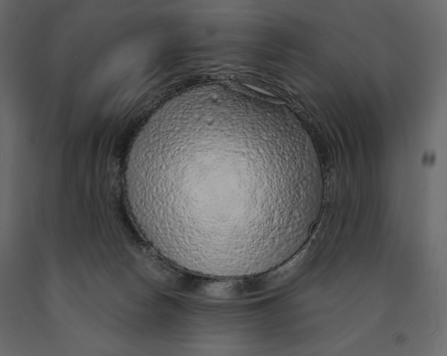 X0000090900178200708270952