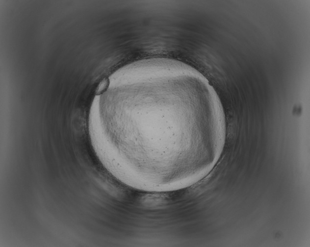 X0000090900179200708270952