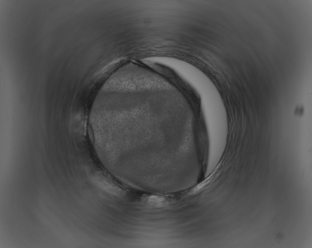 X0000090900180200708270952