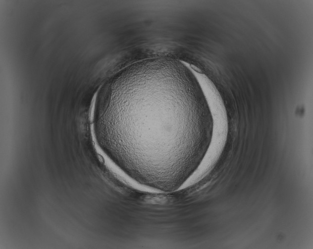 X0000090900181200708270952