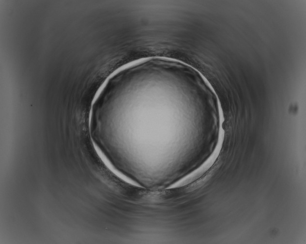 X0000090900182200708270952