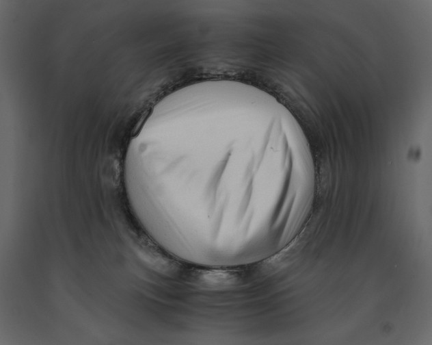 X0000090900183200708270952