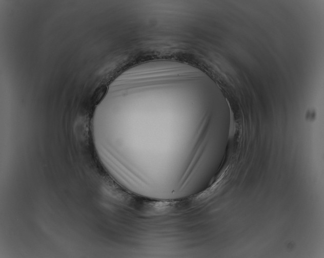 X0000090900184200708270952