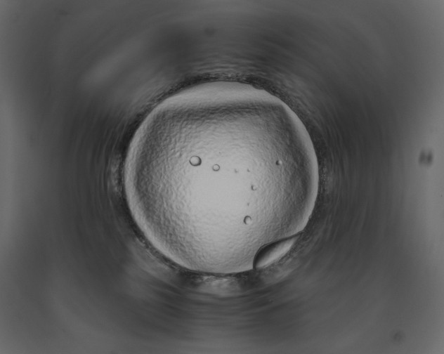 X0000090900185200708270952