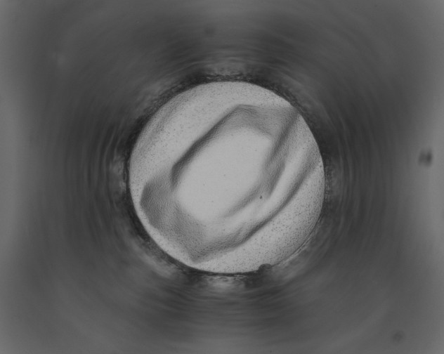 X0000090900187200708270952