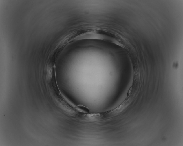 X0000090900188200708270952
