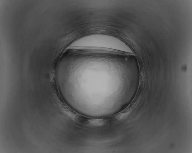 X0000090900189200708270952