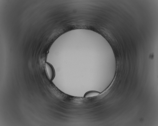 X0000090900190200708270952
