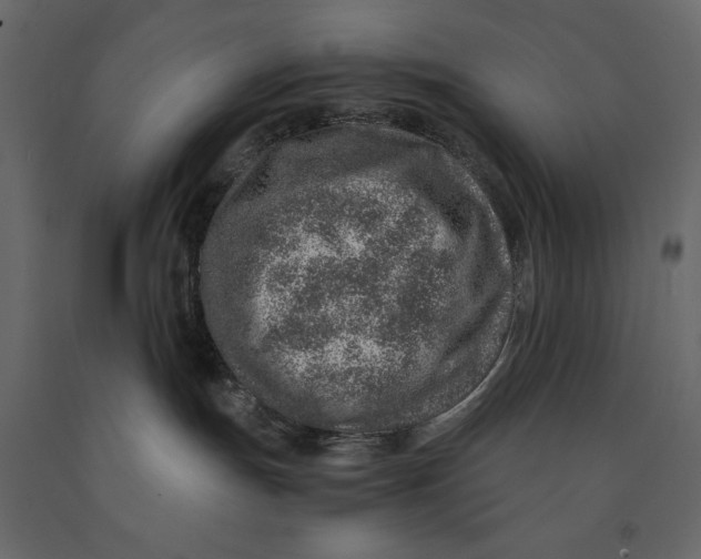X0000090900191200708270952