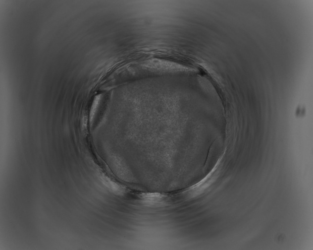 X0000090900192200708270952