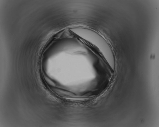 X0000090900193200708270951