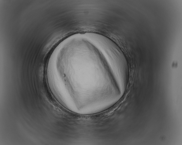 X0000090900194200708270951