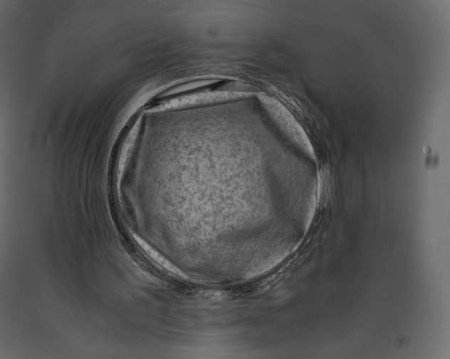 X0000090900195200708270951