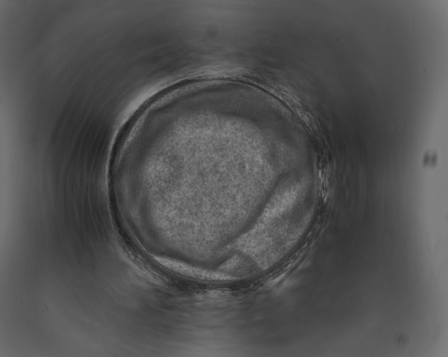 X0000090900196200708270951