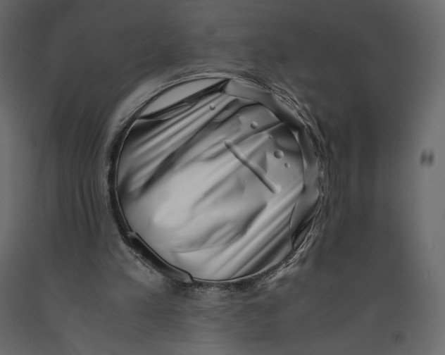 X0000090900197200708270951