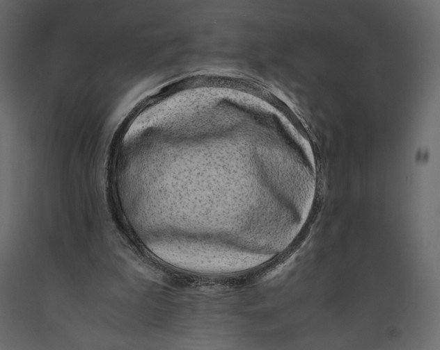 X0000090900199200708270951