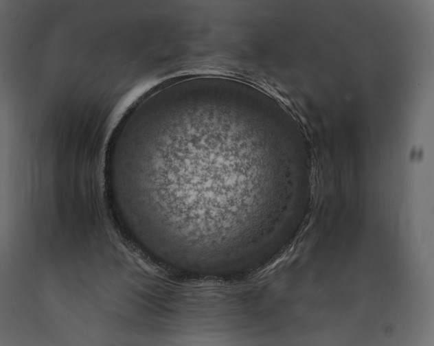 X0000090900200200708270951
