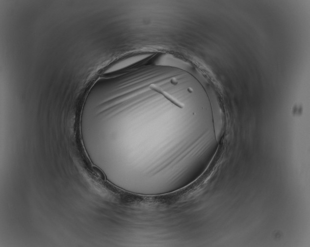 X0000090900201200708270951
