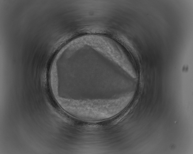 X0000090900202200708270951