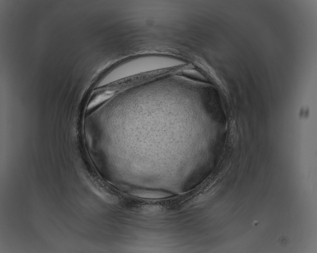 X0000090900203200708270951