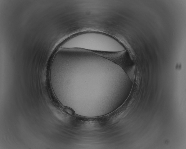 X0000090900204200708270951
