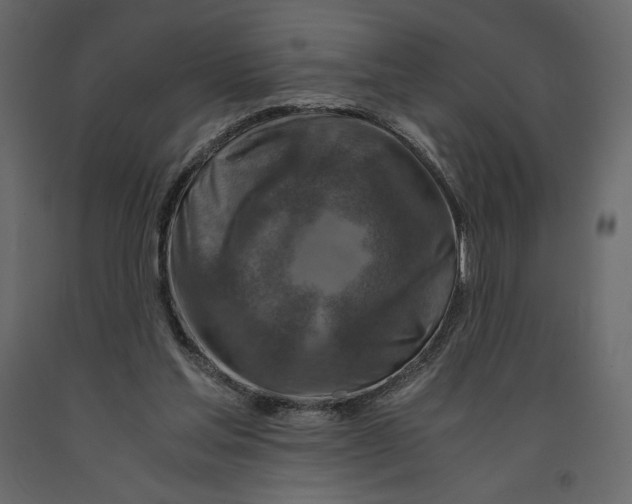 X0000090900205200708270951