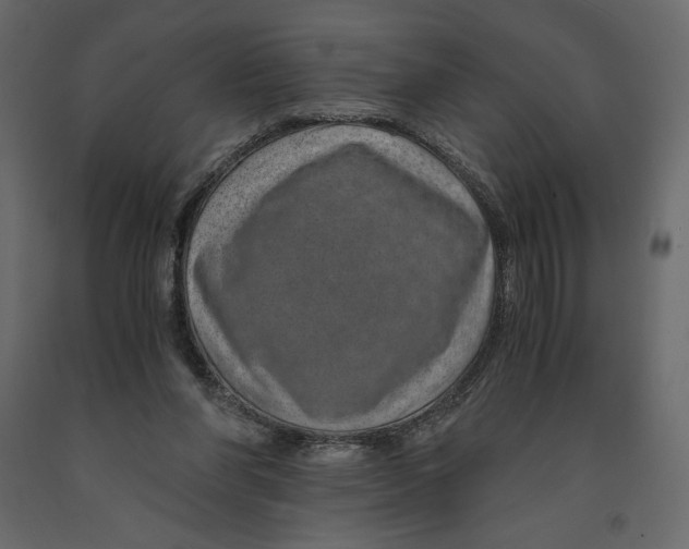 X0000090900206200708270951