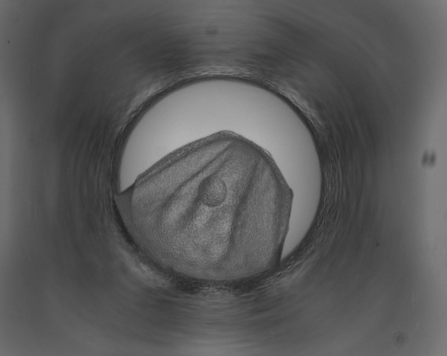 X0000090900207200708270951