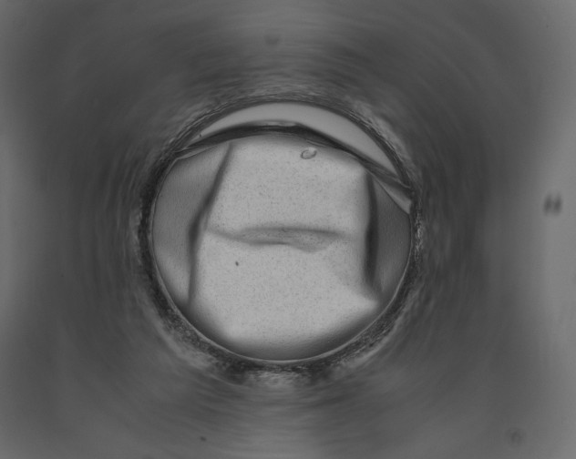 X0000090900209200708270951