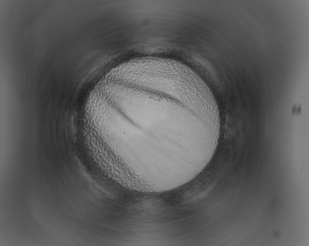 X0000090900210200708270951